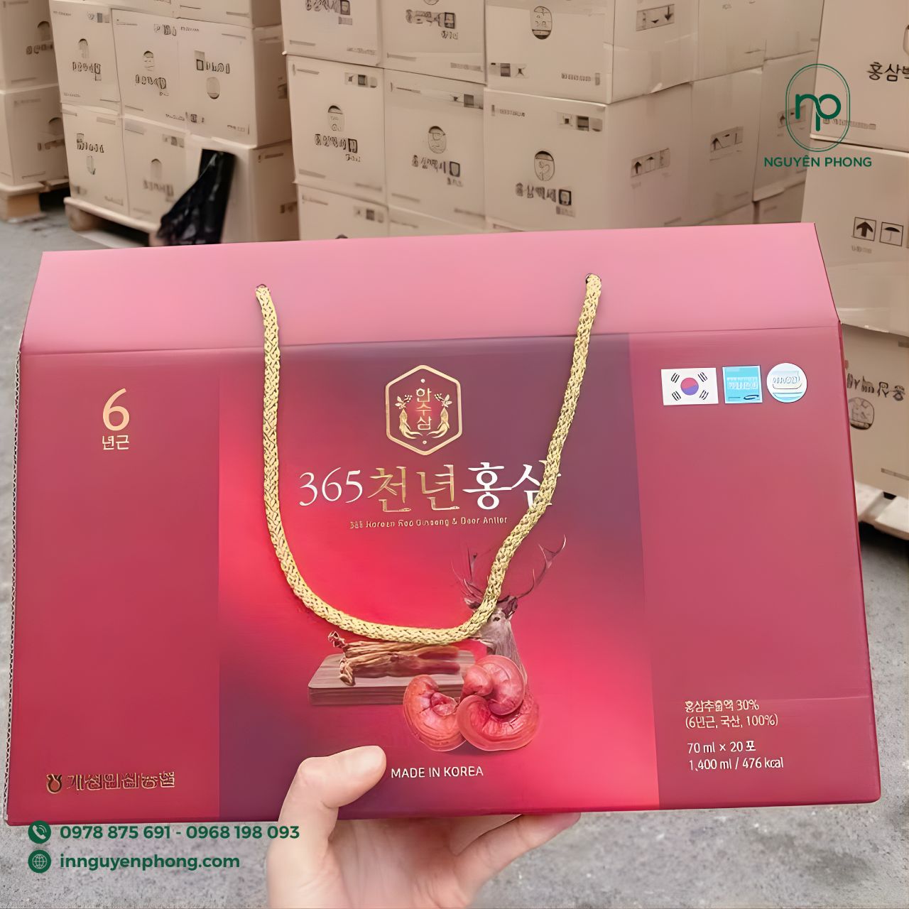 Những lưu ý khi thiết kế túi giấy đựng nấm linh chi
